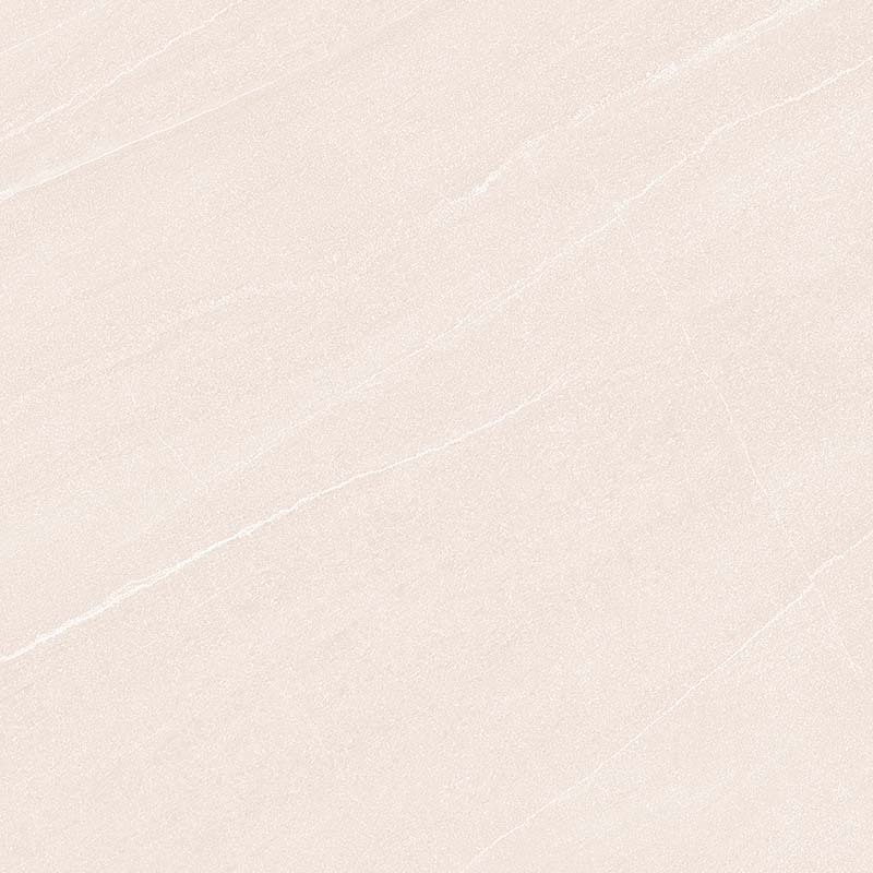 นกนิวไลฟ์ M 40X40