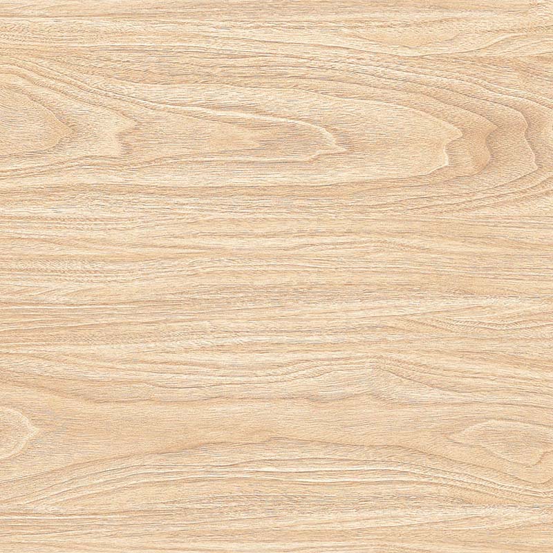 นกน่าน G 40X40